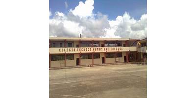 COLEGIO DE BACHILLERATO UNION NACIONAL DE EDUCADORES
