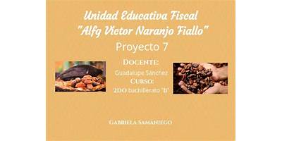 UNIDAD EDUCATIVA FISCAL ALFG VÍCTOR NARANJO FIALLO
