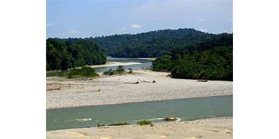 AMAZONAS