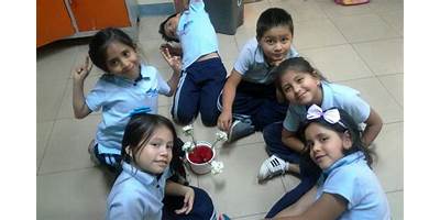 CECIB DE EDUCACIÓN BÁSICA CORDILLERA KUSUMAS