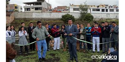 CECIB EB MARIO COBO BARONA