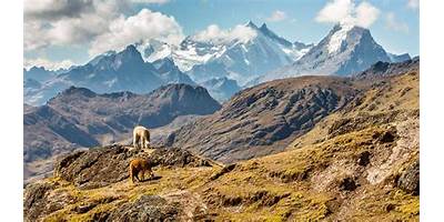 CORDILLERA DE LOS ANDES
