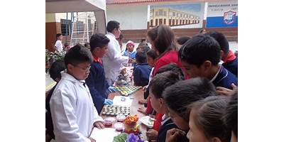 ESCUELA DE EDUCACIÓN BÁSICA FISCOMISIONAL DANIEL HERMIDA