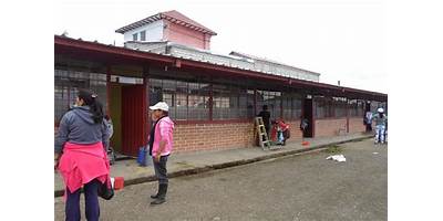 ESCUELA DE EDUCACION BASICA MEDARDO NEIRA GARZON
