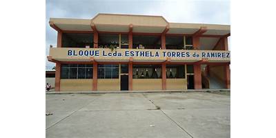ESCUELA DE EDUCACIÓN BÁSICA MUYU SCHOOL