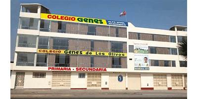 ESCUELA DE EDUCACION BASICA PARTICULAR LOS OLIVOS