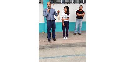 ESCUELA DE EDUCACION BASICA SAN FRANCISCO DE PELEUSI DE AZOGUES