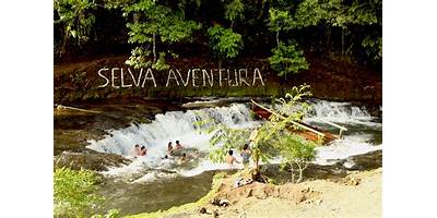 SELVA ALEGRE