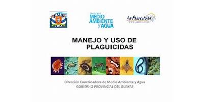 UNIDAD EDUCATIVA GÜIZHAGUIÑA