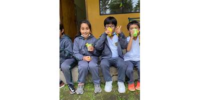 UNIDAD EDUCATIVA PARTICULAR BILINGÜE LICEO LOS ALAMOS