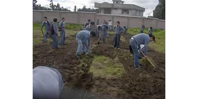 UNIDAD EDUCATIVA SAN ANDRES