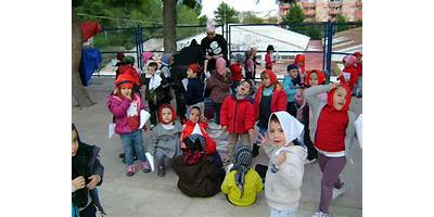 Imagen de la galería