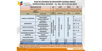CECIB DE EDUCACION BASICA PATRICIO ROMERO BARBERIS