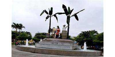 CONDOR MIRADOR