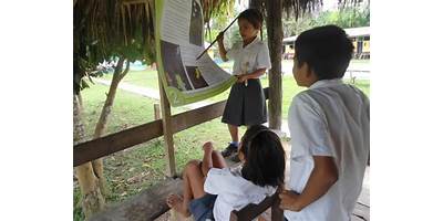 ESCUELA DE EDUCACION BASICA SELVA VERDE