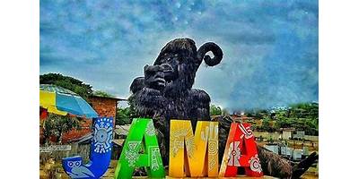 MARCOS OCTAVIO ZAMBRANO BRAVO