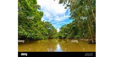 RIO AGUAS NEGRAS