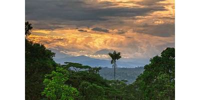 MORONA SANTIAGO