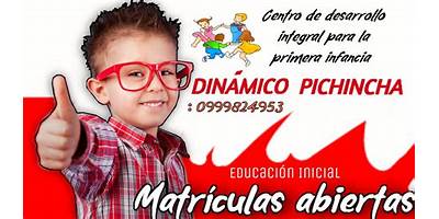 CDIPI DINÁMICO PICHINCHA