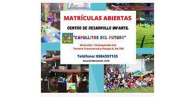 CENTRO DE EDUCACION INICIAL PARTICULAR CAPULLITOS DEL FUTURO