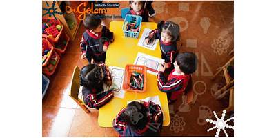 DR GOLEMAN