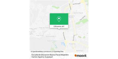 ESCUELA DE EDUCACIÓN BÁSICA FISCAL ALEJANDRO CARRIÓN AGUIRRE